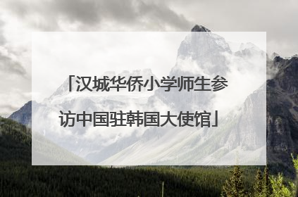 汉城华侨小学师生参访中国驻韩国大使馆