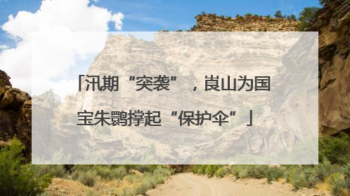 汛期“突袭”，崀山为国宝朱鹮撑起“保护伞”