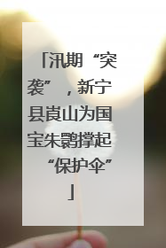 汛期“突袭”，新宁县崀山为国宝朱鹮撑起“保护伞”