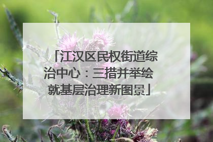 江汉区民权街道综治中心：三措并举绘就基层治理新图景