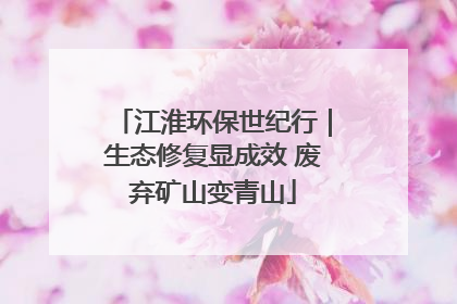 江淮环保世纪行｜生态修复显成效 废弃矿山变青山