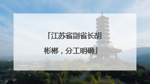 江苏省副省长胡彬郴，分工明确