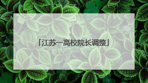 江苏一高校院长调整