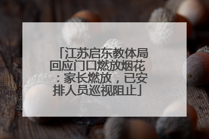 江苏启东教体局回应门口燃放烟花：家长燃放，已安排人员巡视阻止