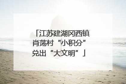 江苏建湖冈西镇肖荡村“小积分”兑出“大文明”