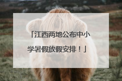 江西两地公布中小学暑假放假安排！