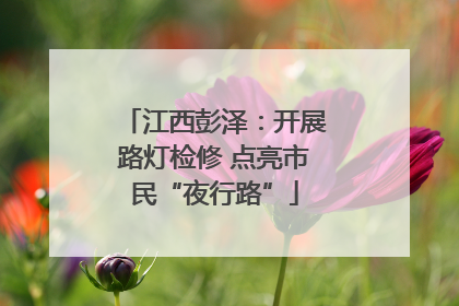 江西彭泽：开展路灯检修 点亮市民“夜行路”