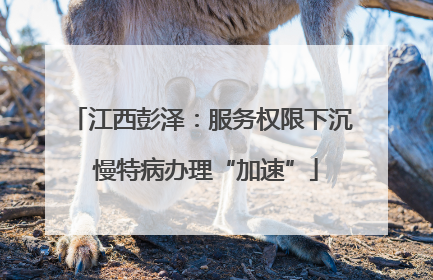 江西彭泽：服务权限下沉 慢特病办理“加速”