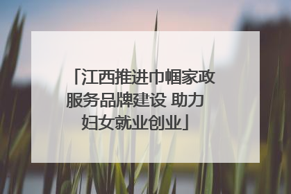 江西推进巾帼家政服务品牌建设 助力妇女就业创业