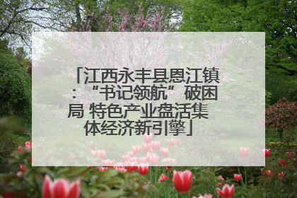 江西永丰县恩江镇：“书记领航”破困局 特色产业盘活集体经济新引擎