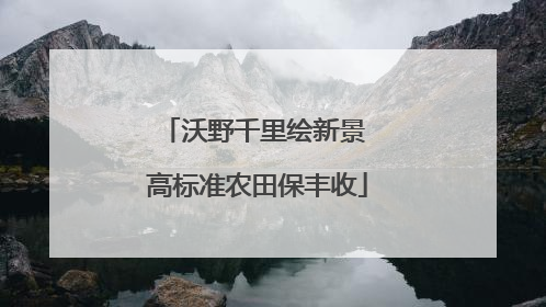 沃野千里绘新景 高标准农田保丰收