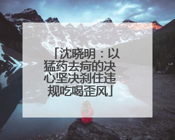 沈晓明：以猛药去疴的决心坚决刹住违规吃喝歪风