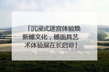 沉浸式迷宫体验焕新傩文化，傩面具艺术体验展在长启幕