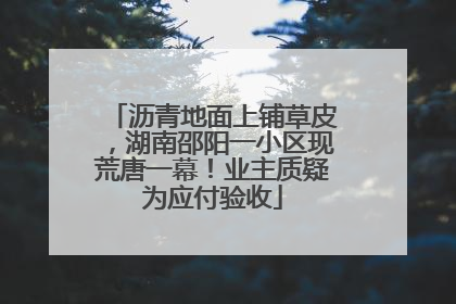 沥青地面上铺草皮，湖南邵阳一小区现荒唐一幕！业主质疑为应付验收