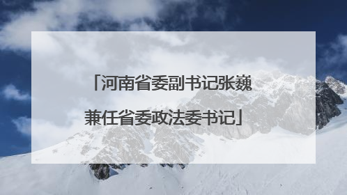 河南省委副书记张巍兼任省委政法委书记