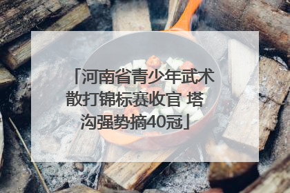 河南省青少年武术散打锦标赛收官 塔沟强势摘40冠