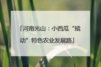 河南光山：小西瓜“撬动”特色农业发展路