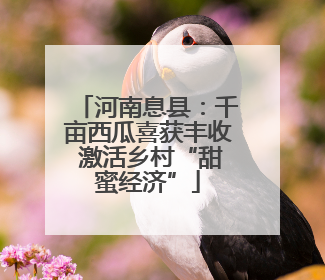 河南息县：千亩西瓜喜获丰收 激活乡村“甜蜜经济”