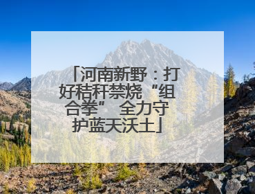河南新野：打好秸秆禁烧“组合拳” 全力守护蓝天沃土