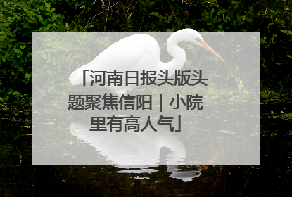 河南日报头版头题聚焦信阳｜小院里有高人气