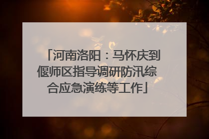 河南洛阳：马怀庆到偃师区指导调研防汛综合应急演练等工作