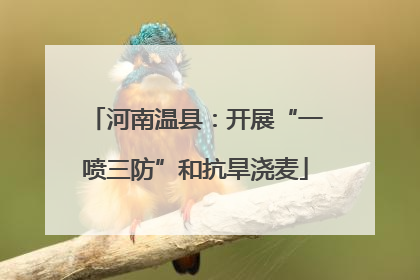 河南温县：开展“一喷三防”和抗旱浇麦