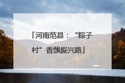 河南范县：“粽子村”香飘振兴路