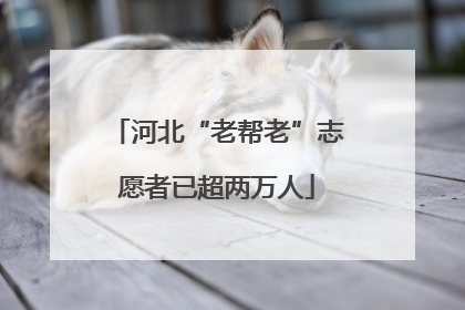河北“老帮老”志愿者已超两万人