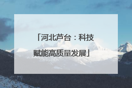 河北芦台：科技赋能高质量发展