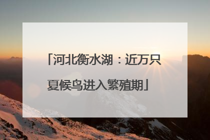 河北衡水湖：近万只夏候鸟进入繁殖期