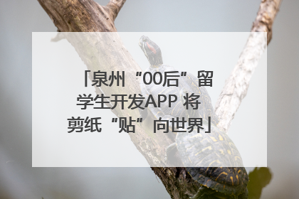 泉州“00后”留学生开发APP 将剪纸“贴”向世界
