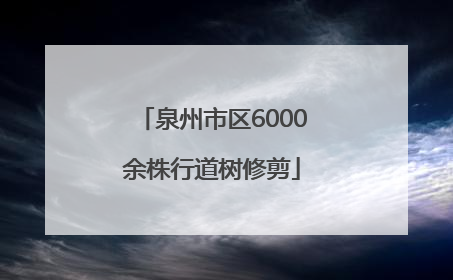 泉州市区6000余株行道树修剪