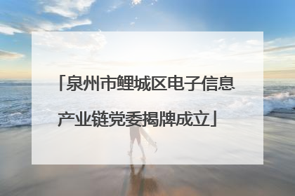 泉州市鲤城区电子信息产业链党委揭牌成立