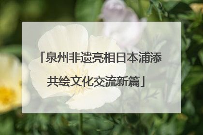 泉州非遗亮相日本浦添 共绘文化交流新篇