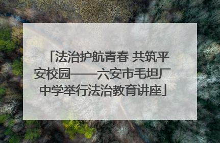 法治护航青春 共筑平安校园——六安市毛坦厂中学举行法治教育讲座