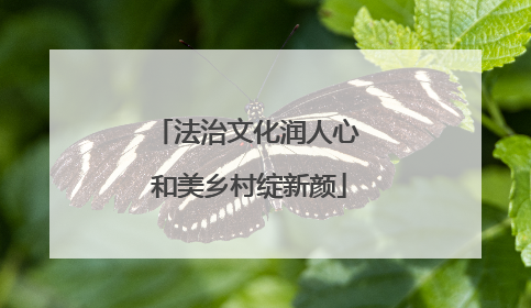 法治文化润人心 和美乡村绽新颜