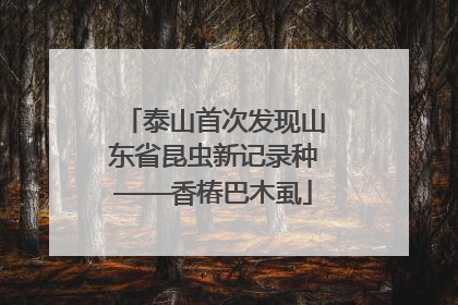 泰山首次发现山东省昆虫新记录种——香椿巴木虱