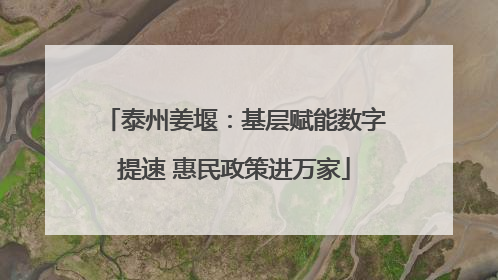 泰州姜堰：基层赋能数字提速 惠民政策进万家