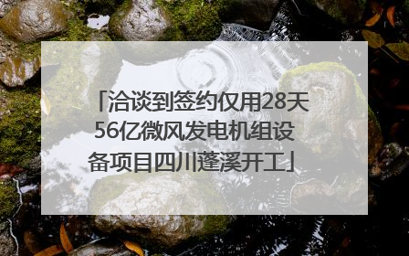 洽谈到签约仅用28天 56亿微风发电机组设备项目四川蓬溪开工