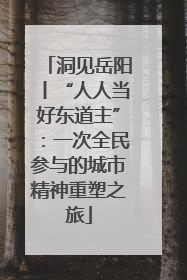 洞见岳阳丨“人人当好东道主”：一次全民参与的城市精神重塑之旅