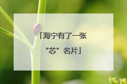 海宁有了一张“芯”名片