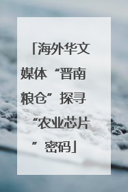 海外华文媒体“晋南粮仓”探寻“农业芯片”密码