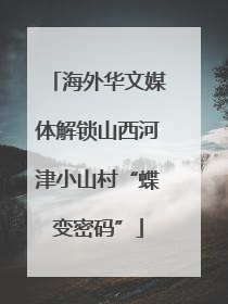 海外华文媒体解锁山西河津小山村“蝶变密码”