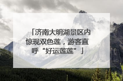 济南大明湖景区内惊现双色莲，游客直呼“好运莲莲”