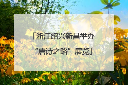 浙江绍兴新昌举办“唐诗之路”展览