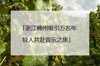 浙江嵊州吸引万名年轻人共赴音乐之旅