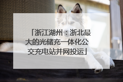 浙江湖州：浙北最大的光储充一体化公交充电站并网投运