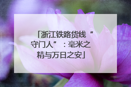 浙江铁路货线“守门人”：毫米之精与万日之安