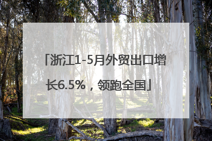 浙江1-5月外贸出口增长6.5%，领跑全国
