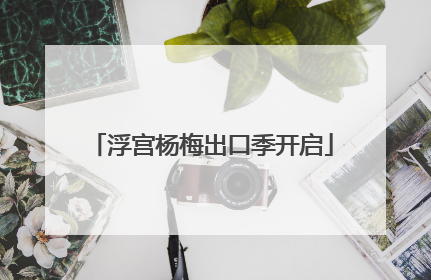 浮宫杨梅出口季开启